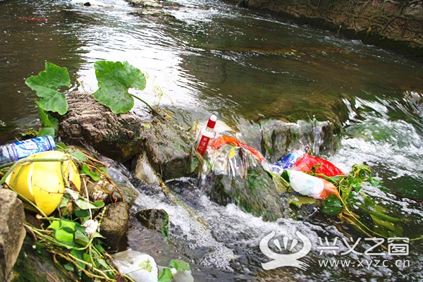 污水排放口附近垃圾成堆湾塘河下游河面漂着一头死猪,由于时间较长