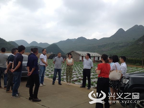 黔西南州青年企业家协会赴兴义市乌沙镇慰问考察