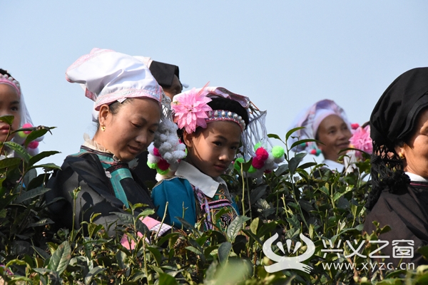 新茶香人口_人口普查(2)