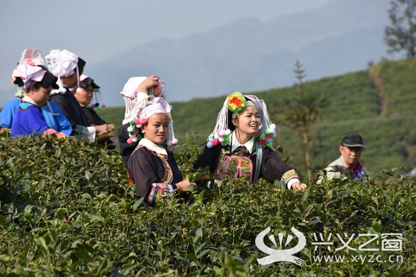 新茶香人口_人口普查(2)