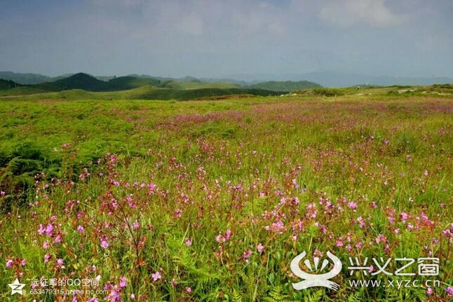 假如你没来过三望坪,她的美会让你蓝瘦,香菇