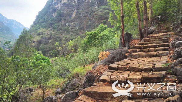 正文       河岸右边有茶马古道,穿过铁索桥则是通往关岭的山石古驿道