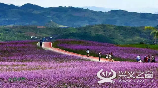 2017"我爱乡村旅游"评选开始啦!快快报名 拿万元大奖!