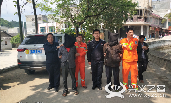云南罗氏人口_云南广南县人口多少(2)