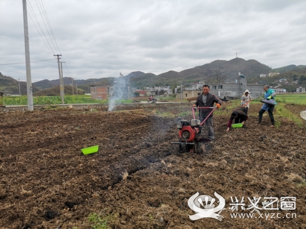 贞丰县平街乡提高土地利用效率以短养长助农增收