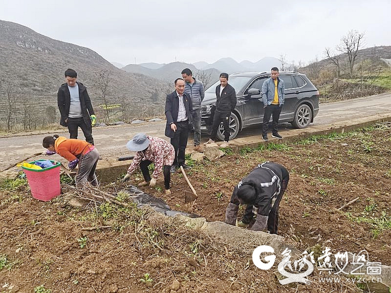 【一防两不停 确保开门红】晴隆县光照镇:人勤不负好春光 田间地头