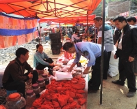 ල翪չȫ