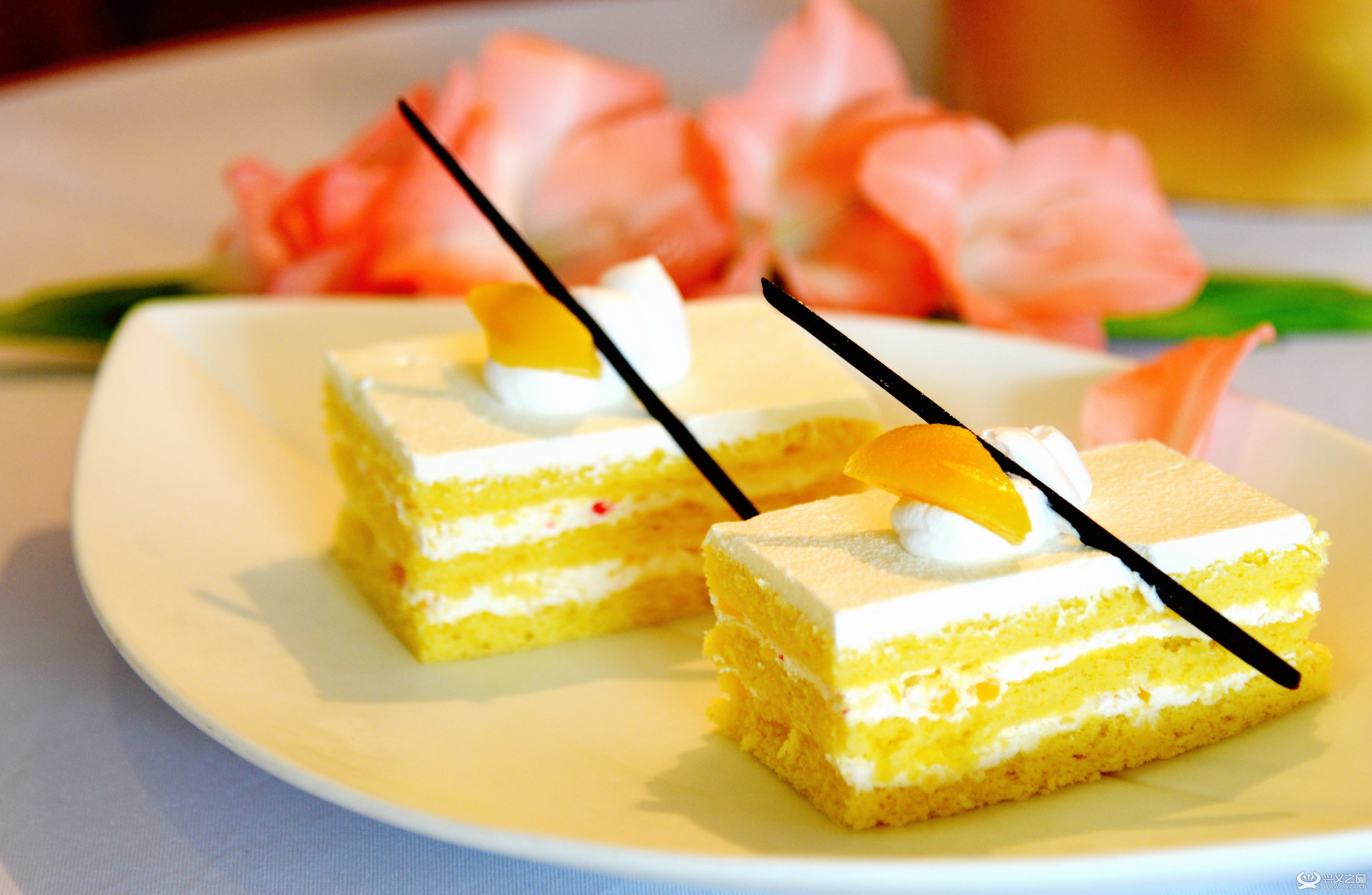 һڣݴ ʱ䣺62972