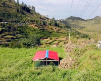 հʮﳤȡ徭ó