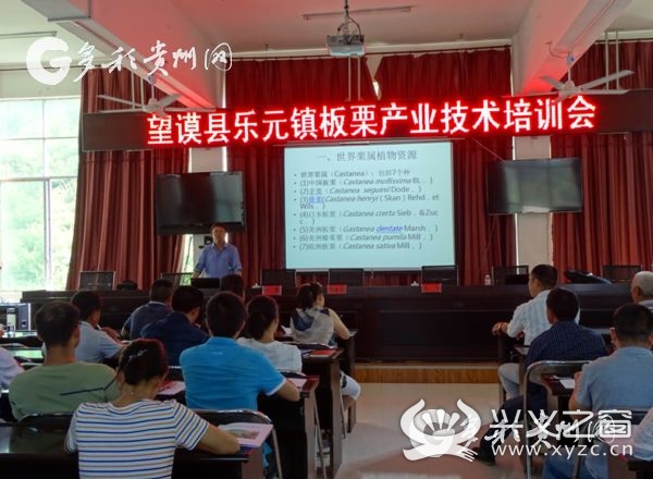 望谟乐元镇开展板栗产业技术培训