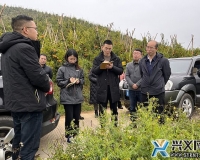 ձݷ糤һеевɷ