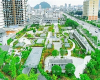 义龙新区“四个聚焦”打造生态文明建设新样板