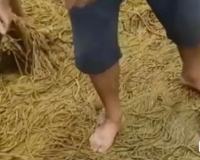 ŻᶹҲǽŲȵģõϷ۷ġ