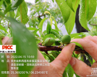 ˱ջ4.14ֲ鿱