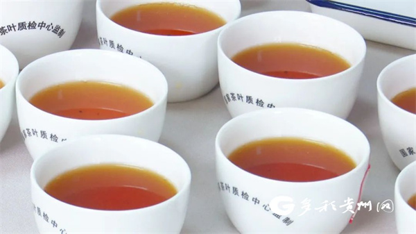 2022年“普安红”制茶技能比赛举行