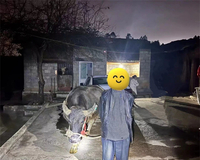 ѸƻһţػȺڲƲȫ
