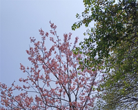 аҤˮҰҶľ