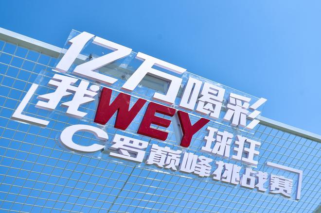  WEYƷC۷սվĻ