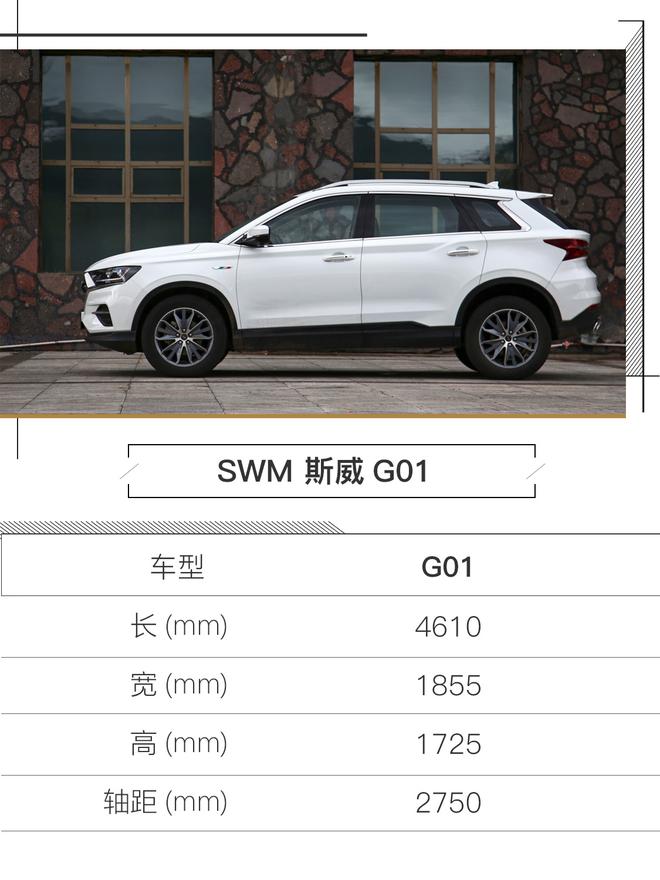 һγɹת SWM˹G01Լ