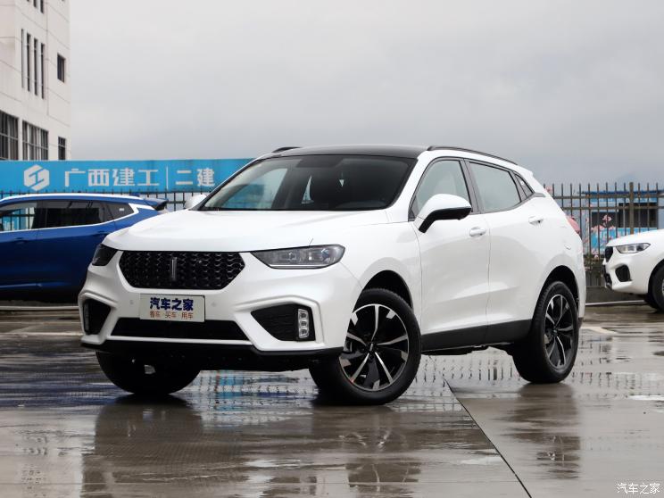  WEY VV5 2020 2.0T ȷ
